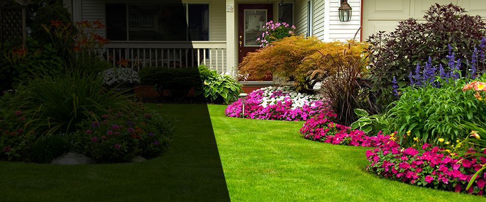 Middleburg Landscapers
